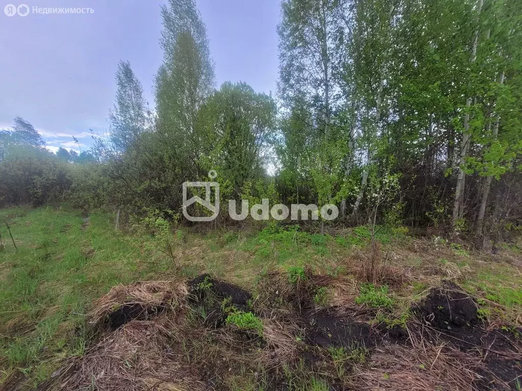 Участок в Уфа, коллективный сад № 34 ОСТ ОАО УМПО, 175 (8 м) - Фото 2