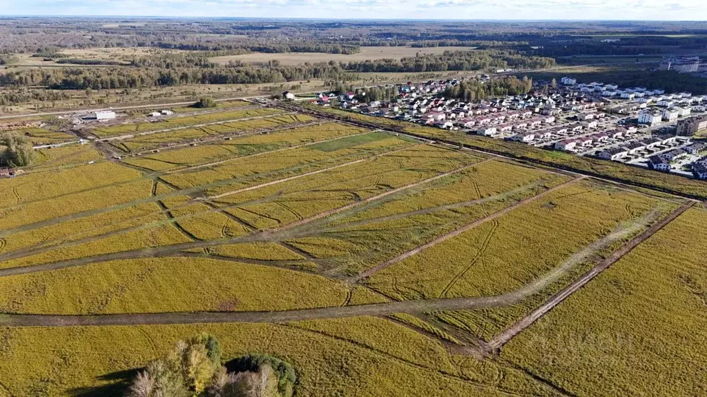 Участок в Новосибирская область, Мошковский район, Фридом Вилладж кп  ... - Фото 1