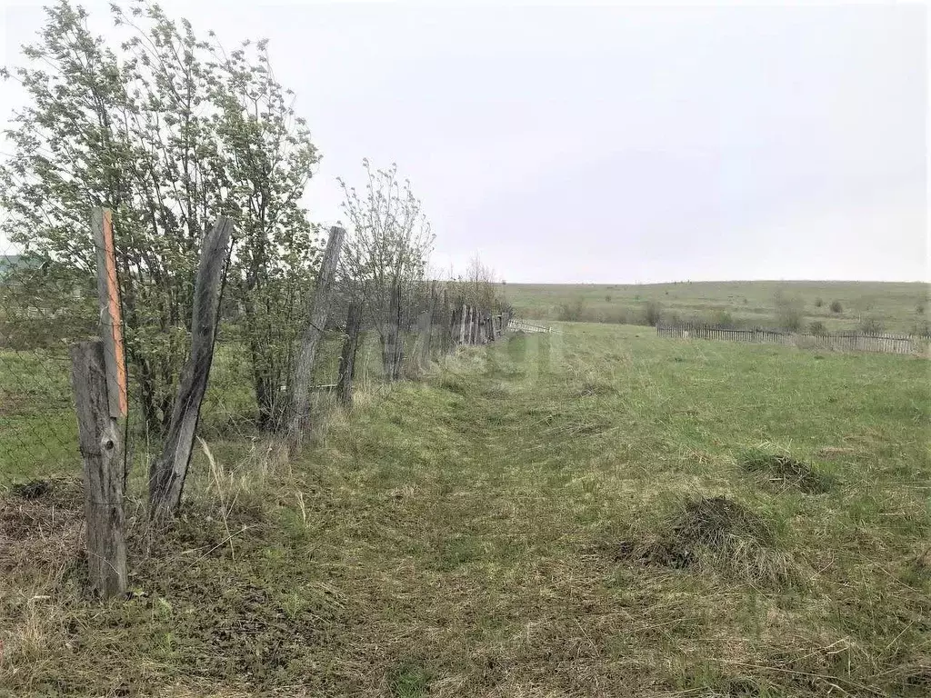 Участок в Башкортостан, Бирский район, Сусловский сельсовет, с. ... - Фото 1