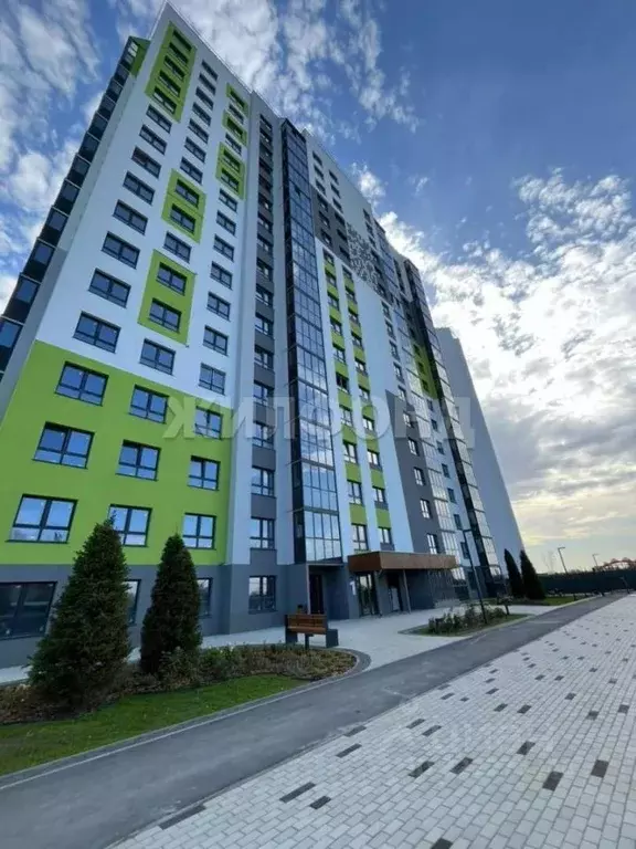 1-к кв. Новосибирская область, Новосибирский район, Мочищенский ... - Фото 1