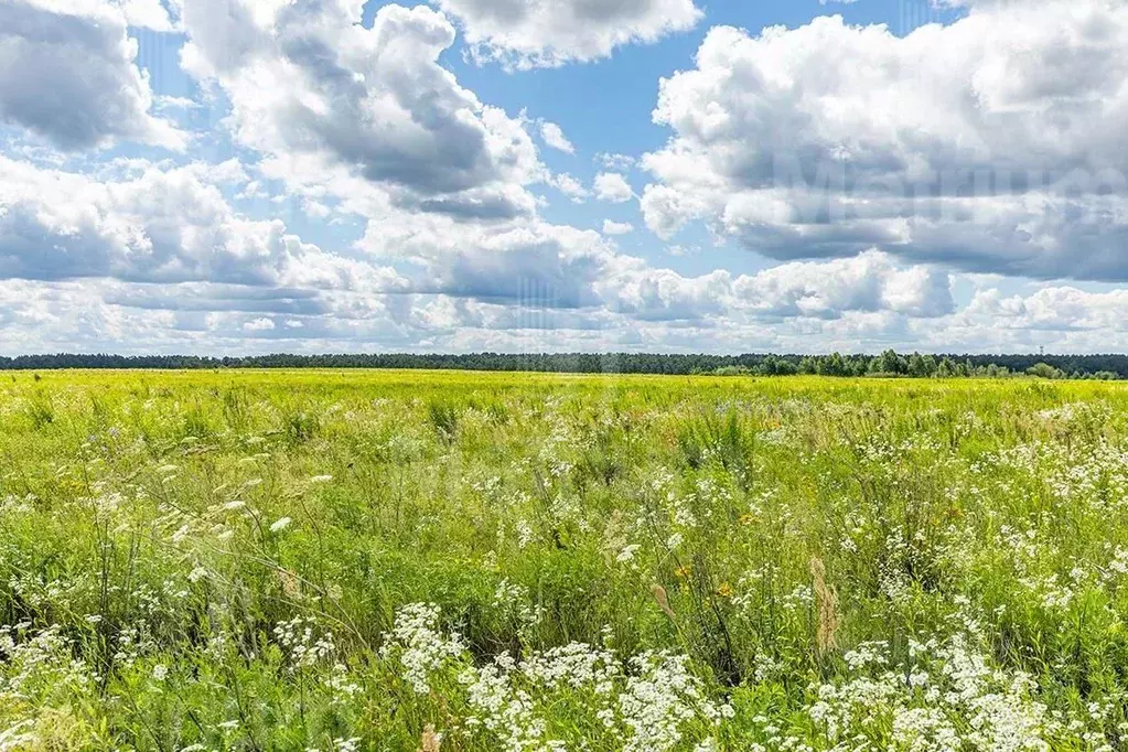 Участок в Московская область, Истра городской округ, д. Чесноково, ... - Фото 0