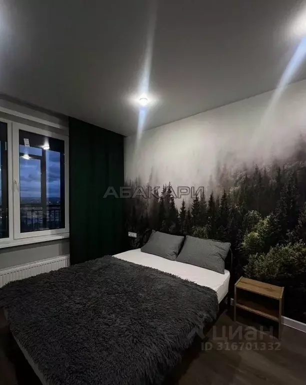 1-к кв. Красноярский край, Красноярск ул. Ленина, 221 (44.0 м) - Фото 0