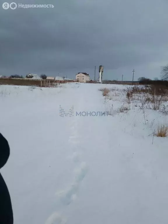 Участок в Нижегородская область, Богородский муниципальный округ, ... - Фото 2