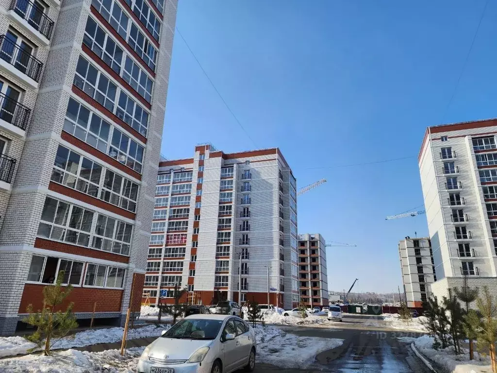 Студия Амурская область, Благовещенский район, с. Чигири ул. ... - Фото 2