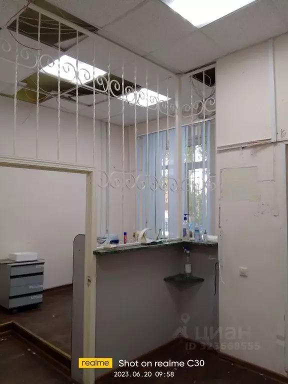 Помещение свободного назначения в Курганская область, Щучанский ... - Фото 1