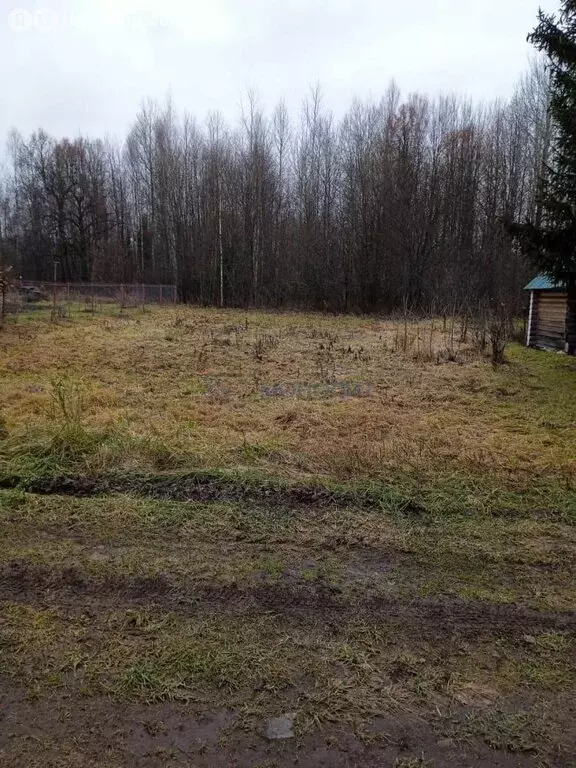 Участок в Нижегородская область, муниципальный округ Чкаловск, деревня ... - Фото 1