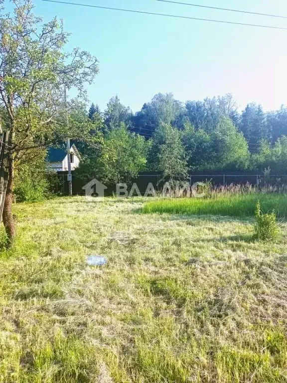 Участок в Калужская область, Обнинск Ветеран садоводческое ... - Фото 2