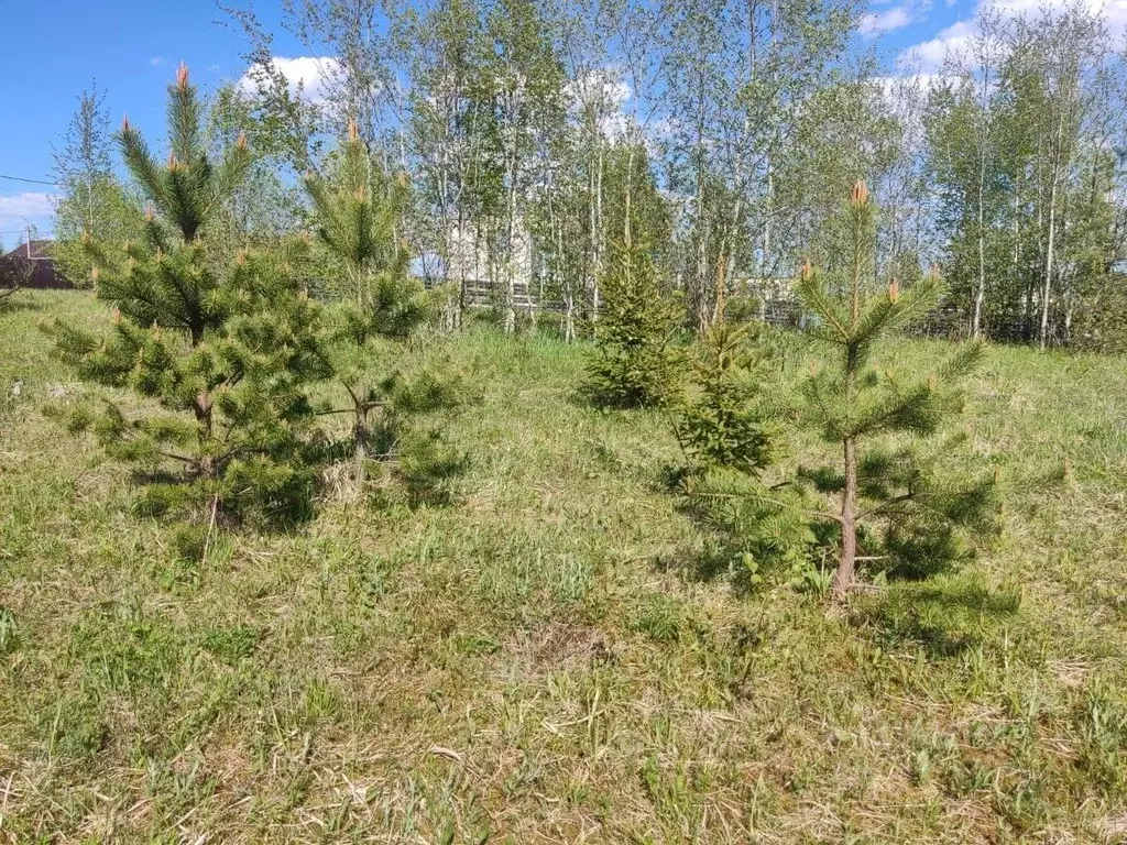 Участок в Московская область, Чехов городской округ, Столбовая рп  ... - Фото 0