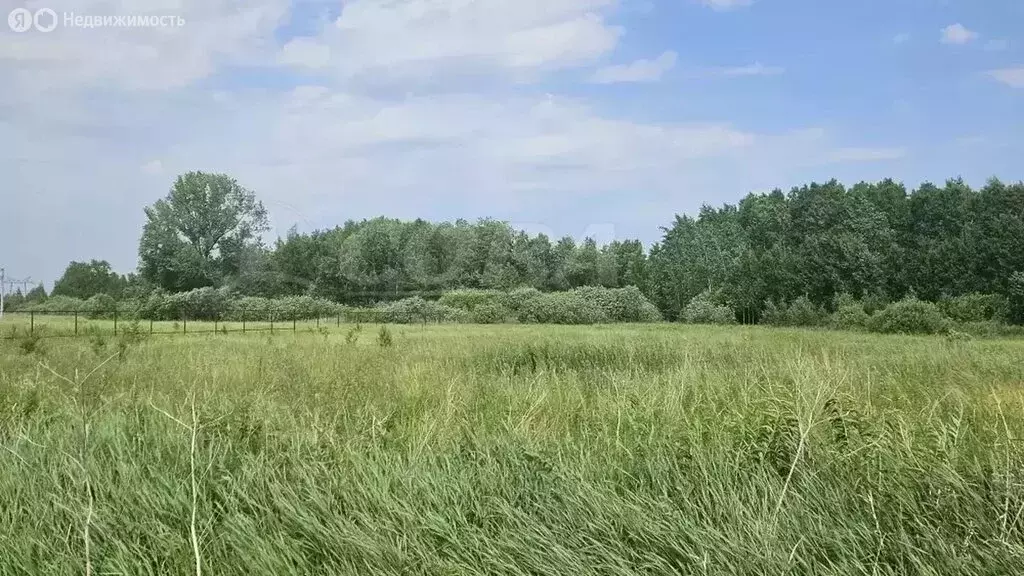 Участок в Тюменский муниципальный округ, село Борки (6.6 м) - Фото 1