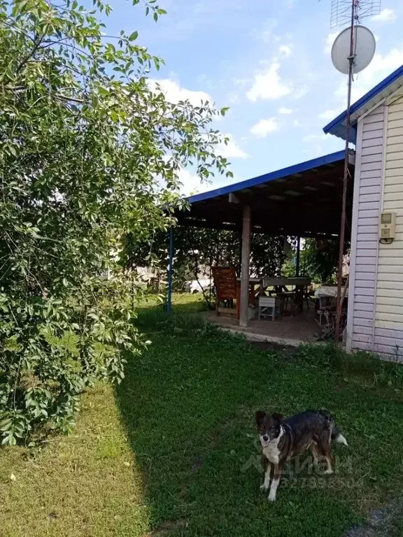 Дом в Курская область, Горшеченский район, Куньевский сельсовет, с. ... - Фото 1