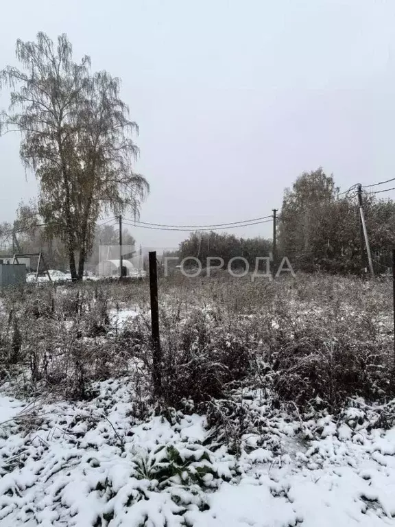 Участок в Новосибирская область, Новосибирский район, Станционный ... - Фото 2