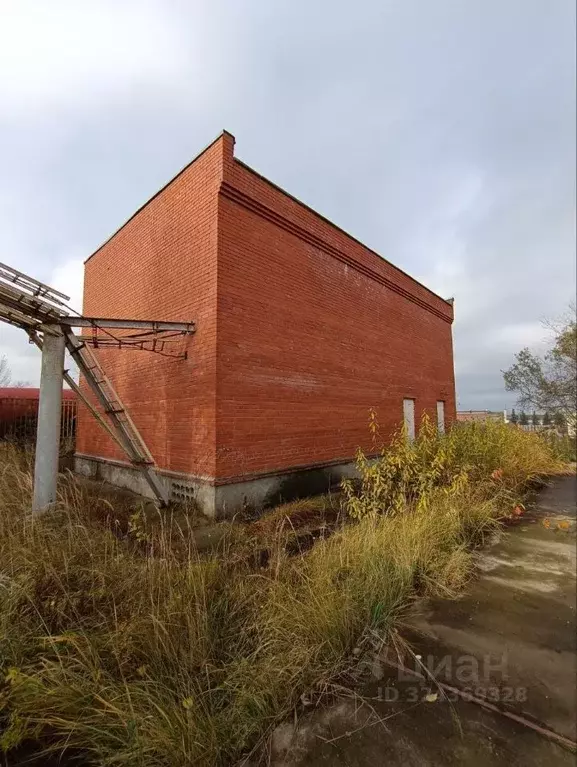 Помещение свободного назначения в Московская область, Домодедово Белые ... - Фото 0