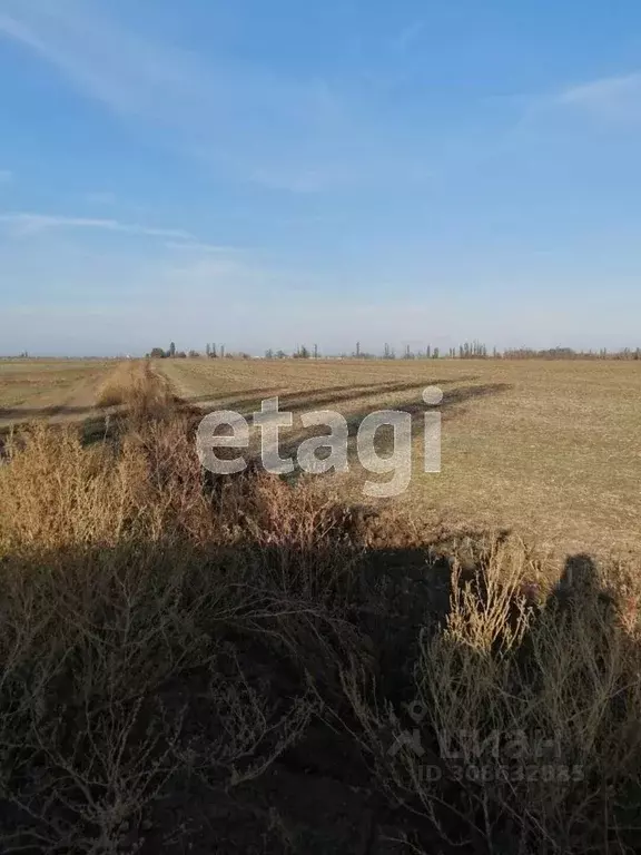 Участок в Крым, Сакский район, с. Орехово  (134.4 сот.) - Фото 0