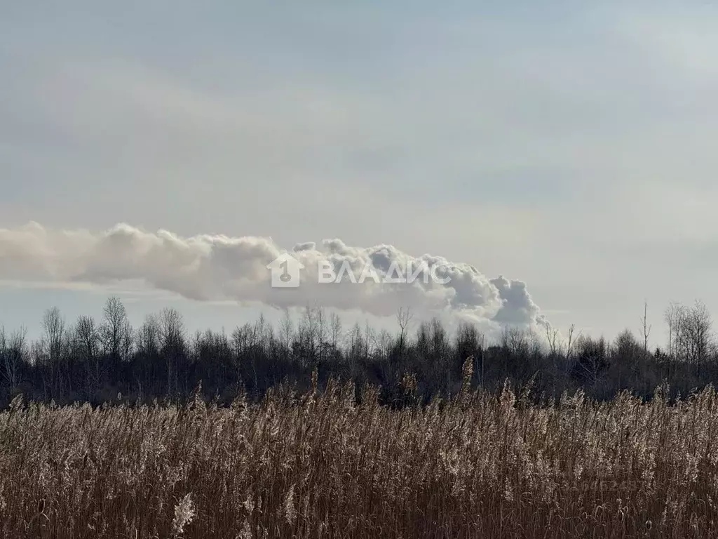 Участок в Иркутская область, Ангарск 259-й кв-л,  (10.0 сот.) - Фото 1