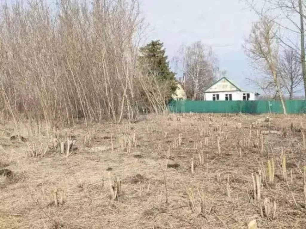 Участок в Курская область, Курский район, Бесединский сельсовет, с. ... - Фото 2