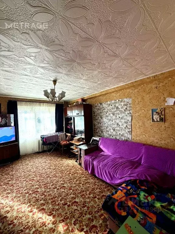 3-к кв. Новосибирская область, Новосибирск Первомайская ул., 116 (59.4 ... - Фото 1