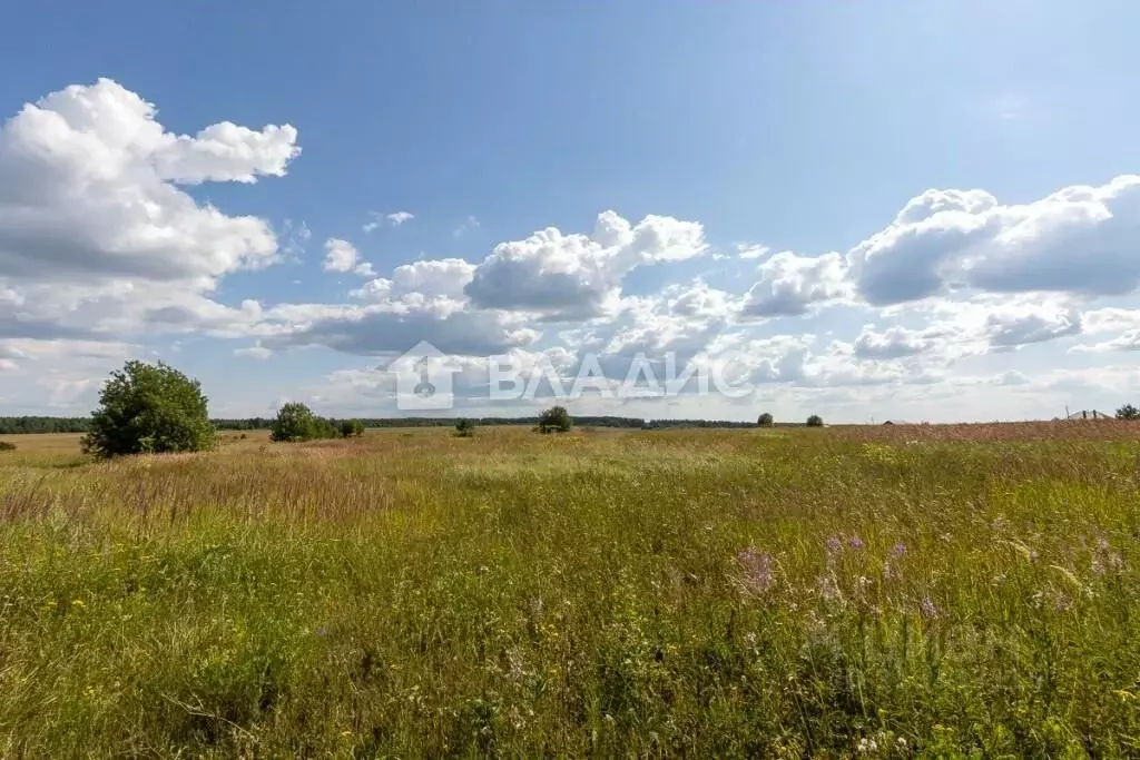 Участок в Владимирская область, Суздальский район, Новоалександровское ... - Фото 0