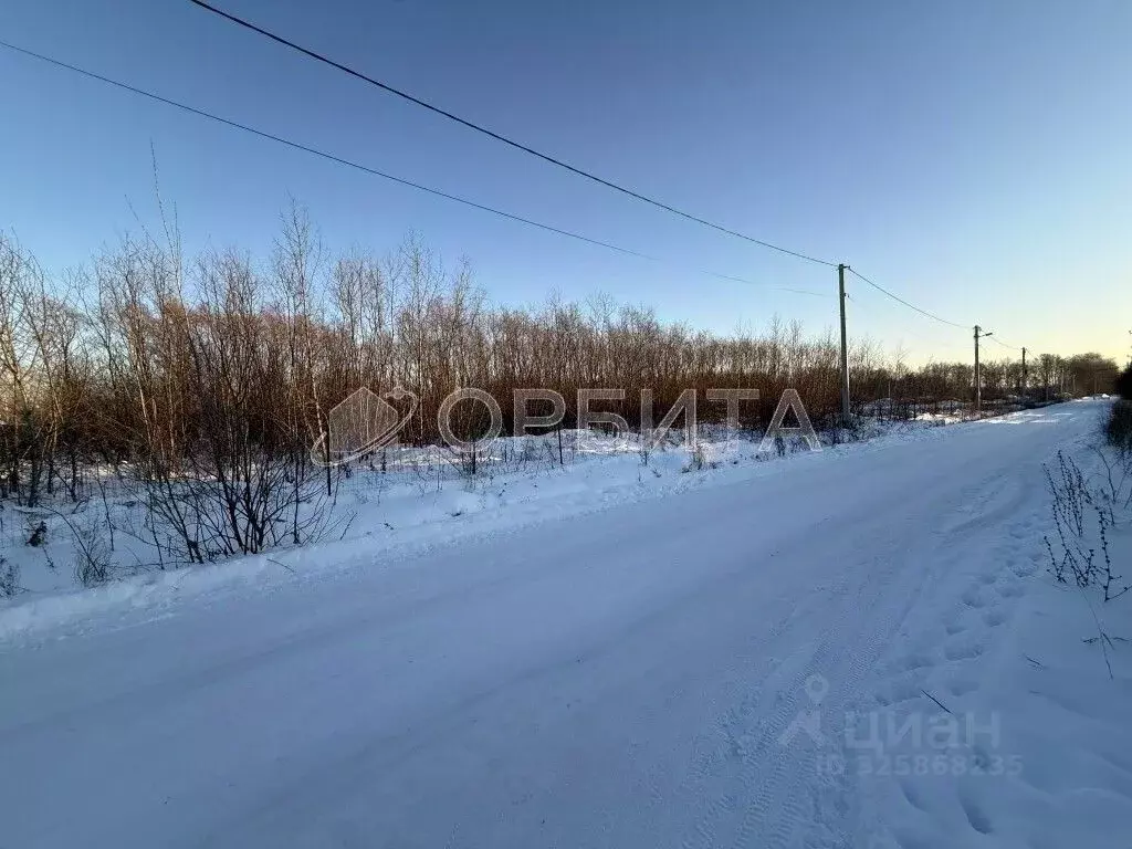 Участок в Тюменская область, Тюменский муниципальный округ, с. Луговое ... - Фото 1
