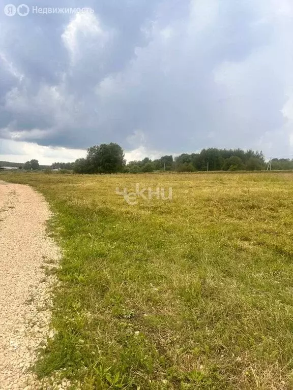 Участок в Нижегородская область, Богородский муниципальный округ, ... - Фото 1