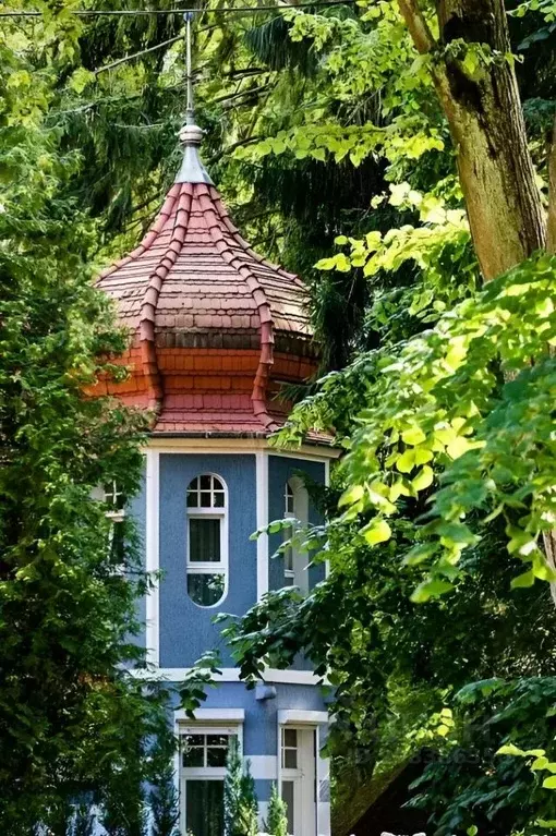 Комната Калининградская область, Светлогорск ул. Ленина, 34 (10.0 м) - Фото 1