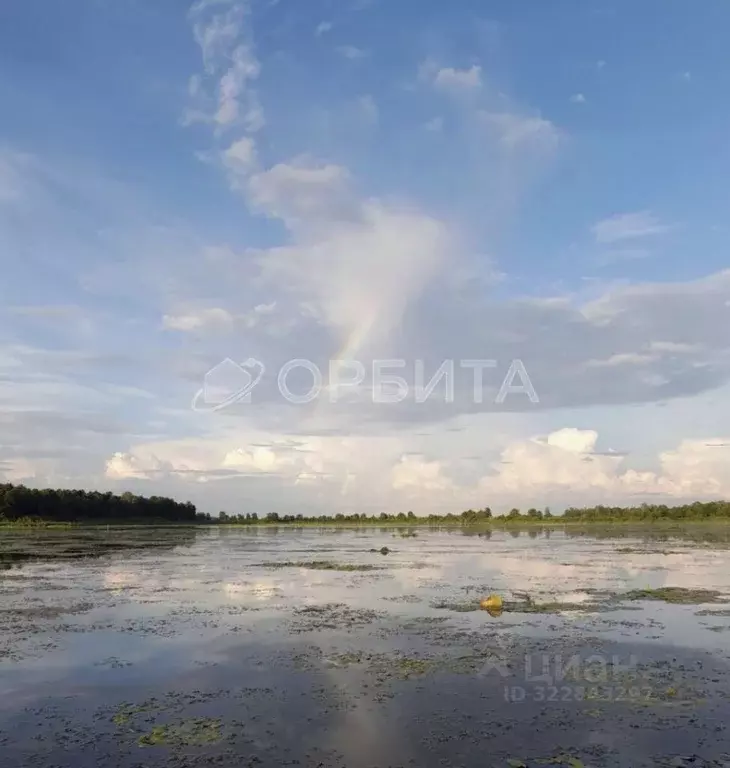Участок в Тюменская область, Тюменский муниципальный округ, д. ... - Фото 1
