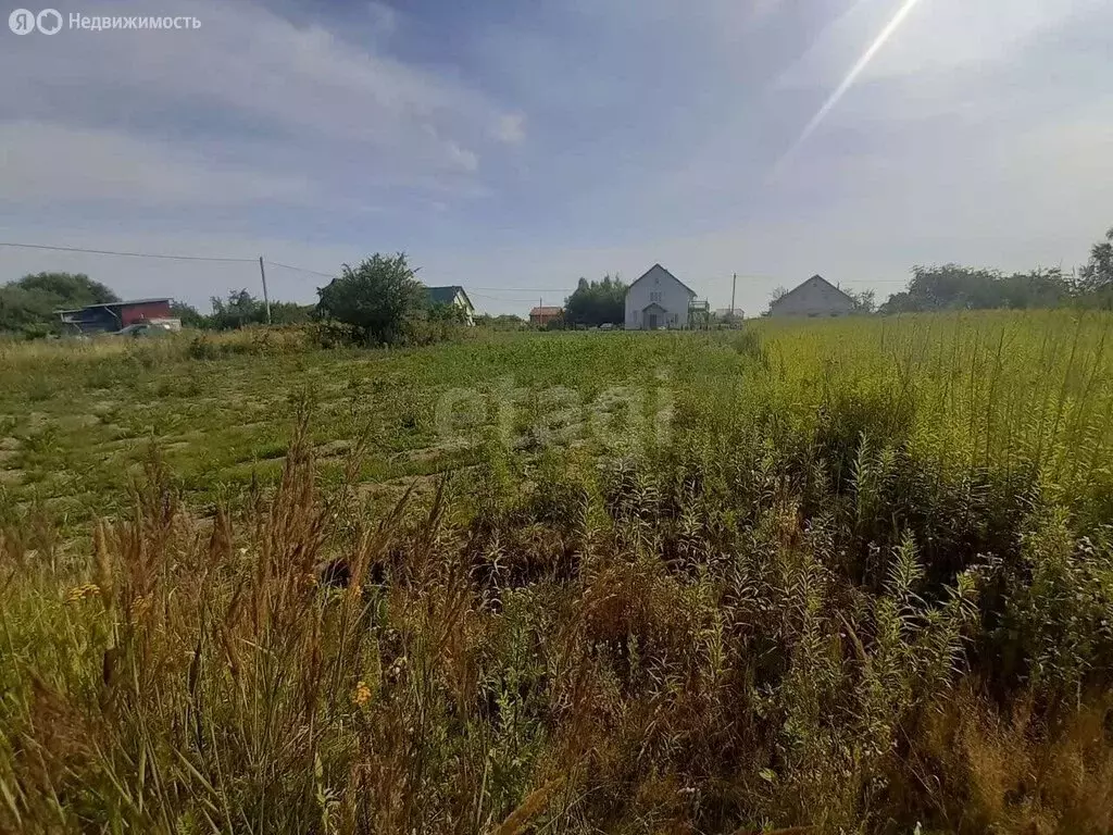 Участок в Калининградская область, Гурьевский муниципальный округ, СТ ... - Фото 2