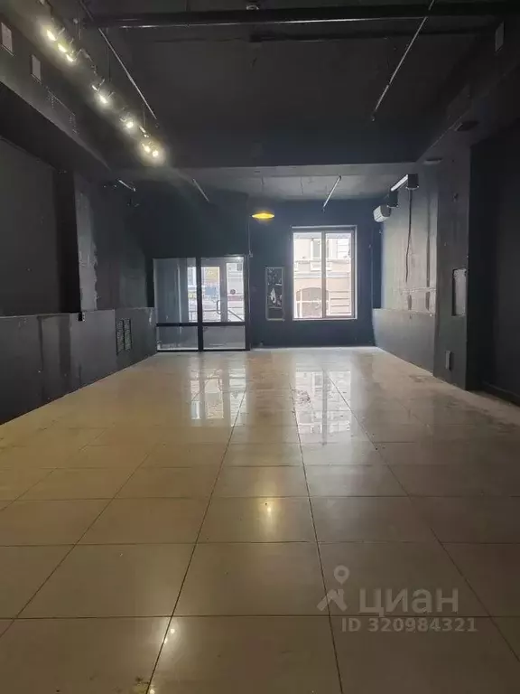 Помещение свободного назначения в Татарстан, Казань Московская ул., 31 ... - Фото 2