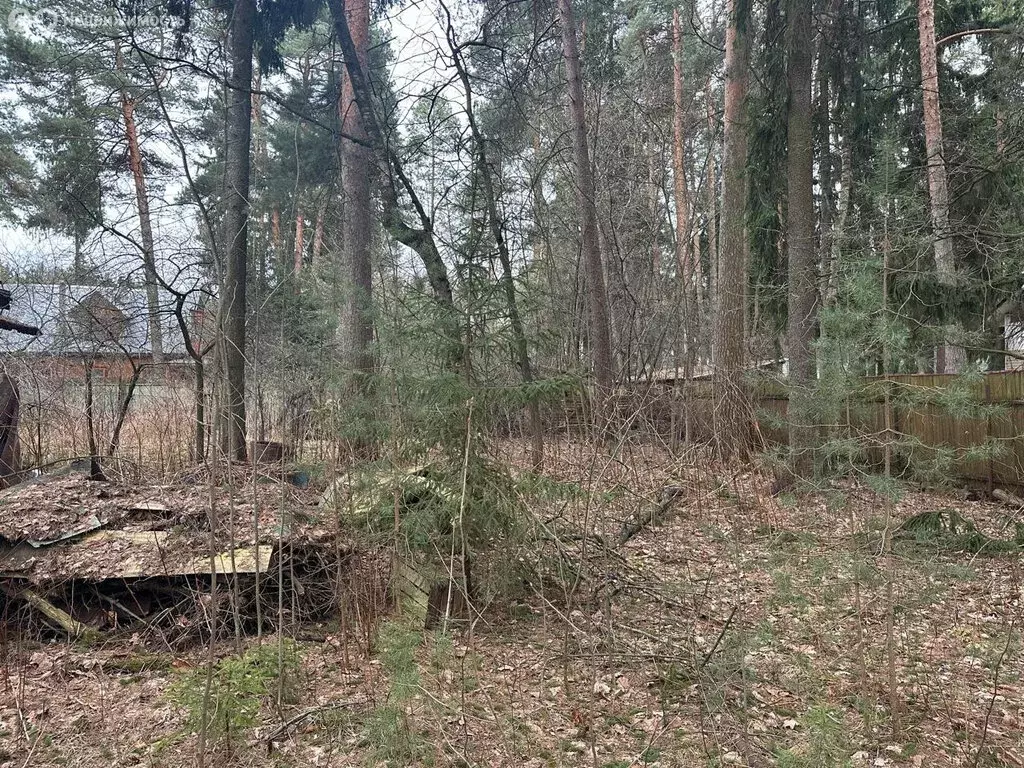 Участок в посёлок городского типа Ильинский, улица Фрунзе (16 м) - Фото 1
