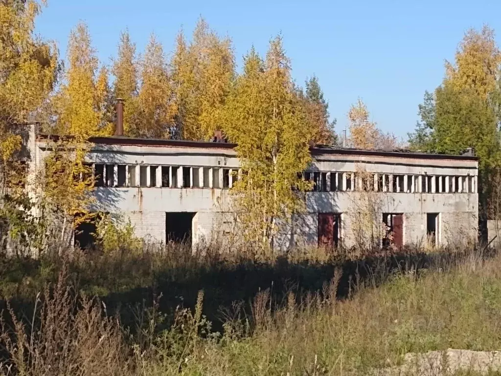 Помещение свободного назначения в Московская область, Солнечногорск ... - Фото 0