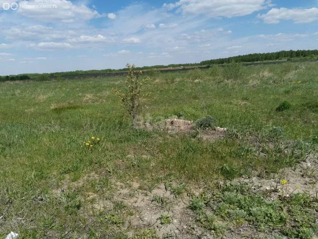 Участок в округ Муром, село Панфилово (200 м) - Фото 1