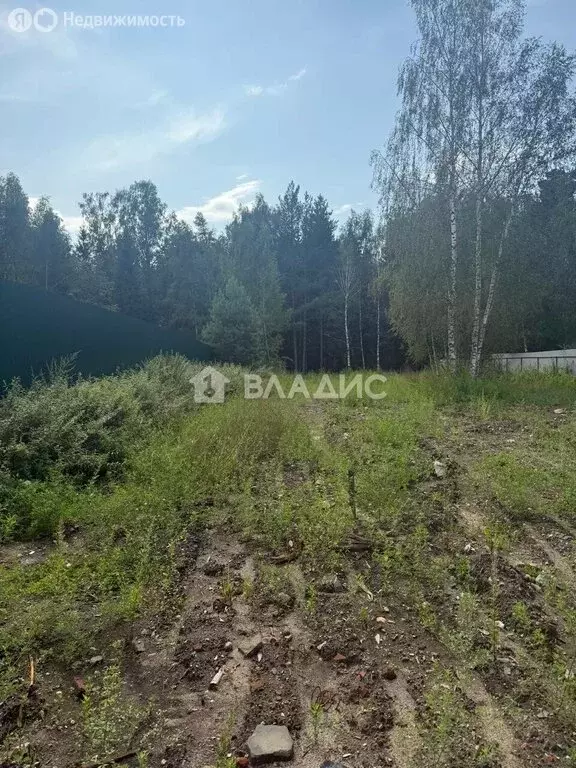 Участок в Ивановский район, Беляницкое сельское поселение, деревня ... - Фото 2