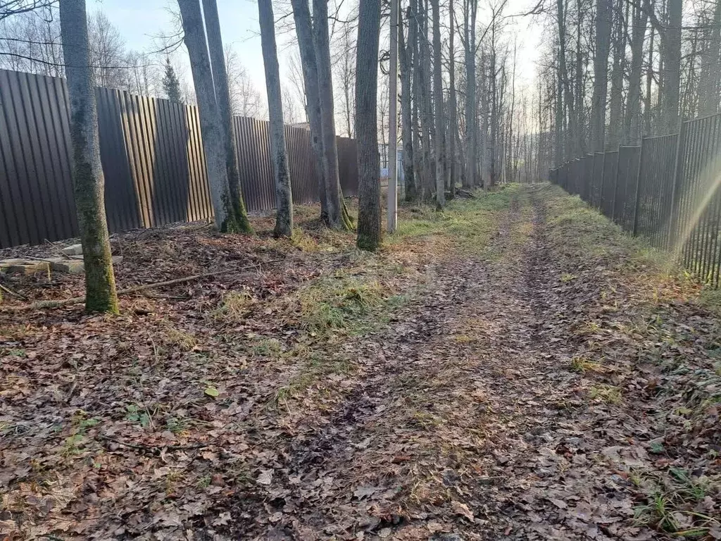 Участок в Московская область, Пушкинский городской округ, д. ... - Фото 2