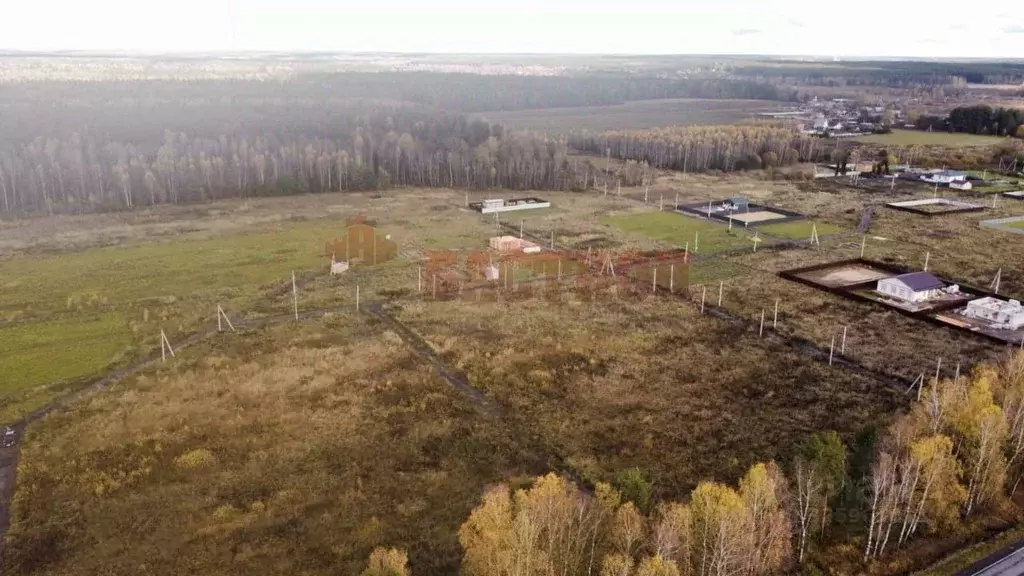 Участок в Московская область, Богородский городской округ, д. Черново ... - Фото 1
