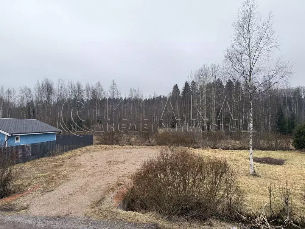 Участок в Ленинградская область, Выборгский район, Советское городское ... - Фото 1