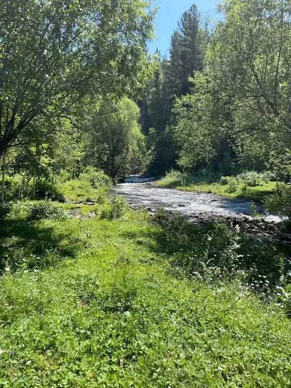 Участок в Алтай, Чемальский район, Элекмонарское с/пос, пос. Каракол  ... - Фото 1