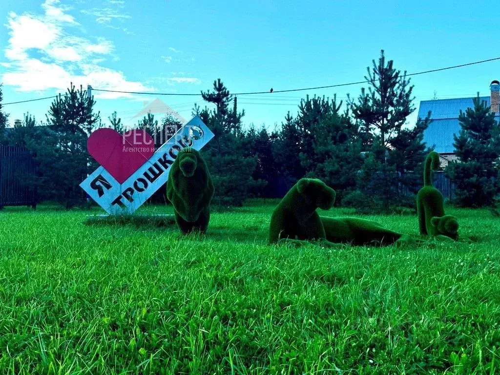 Участок в Московская область, Раменский муниципальный округ, пос. ... - Фото 2