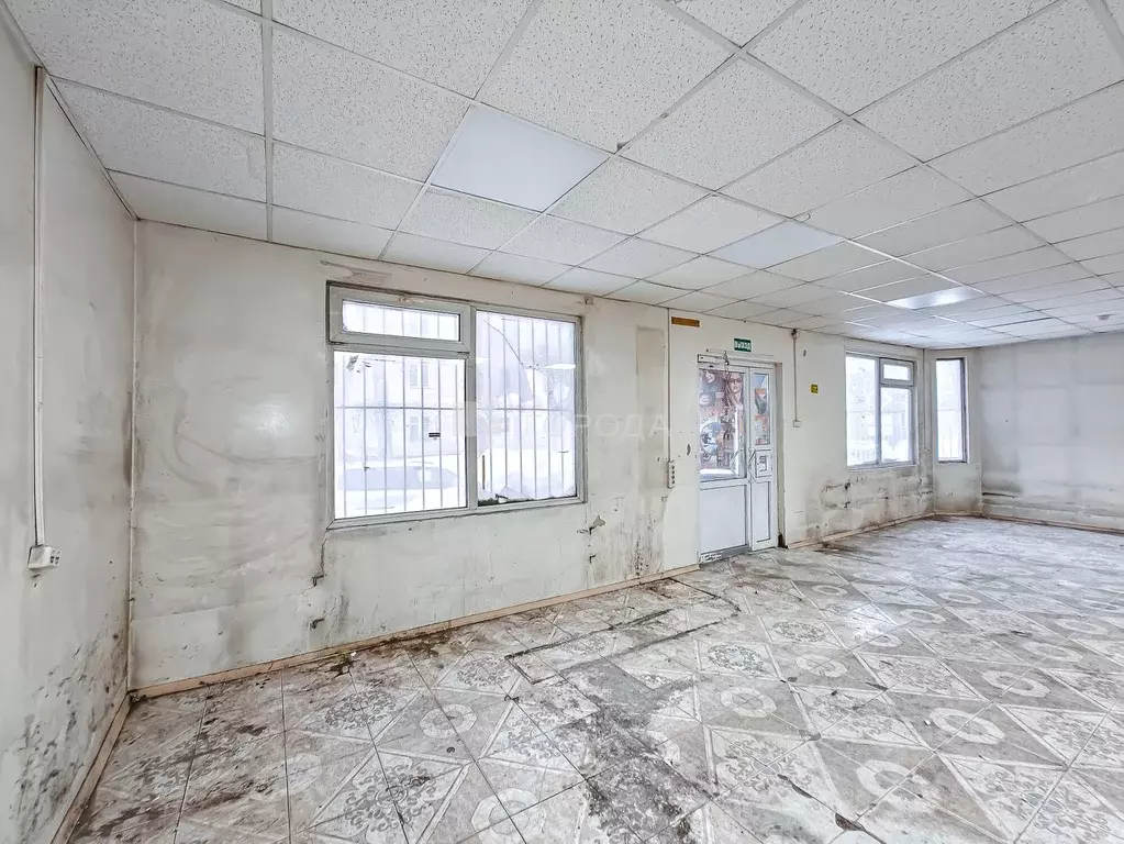 Помещение свободного назначения в Новосибирская область, Новосибирск ... - Фото 2