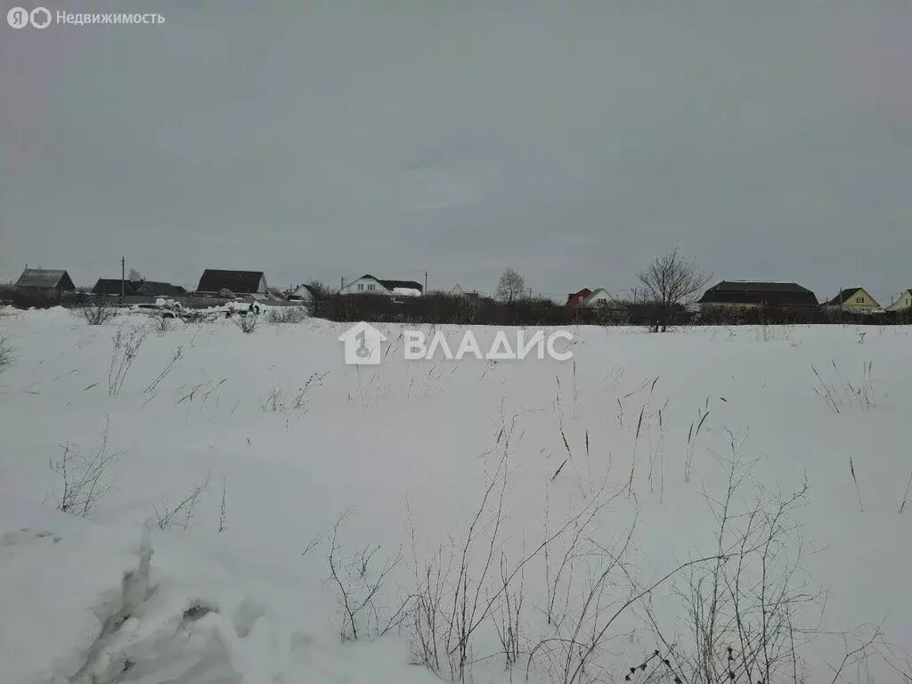 Участок в Засечный сельсовет, село Лебедёвка, Родниковая улица (9.5 м) - Фото 2