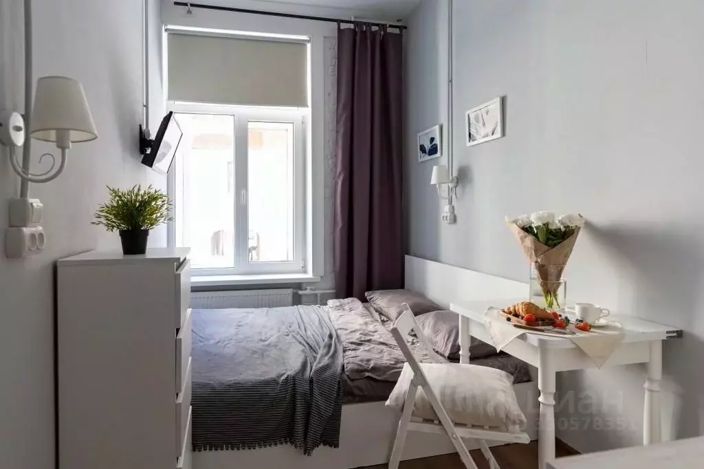 1-к кв. Санкт-Петербург ул. Белинского, 11 (17.0 м) - Фото 1