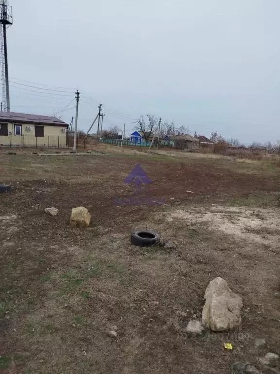 Участок в Ростовская область, Цимлянский район, Саркеловское с/пос, ... - Фото 2