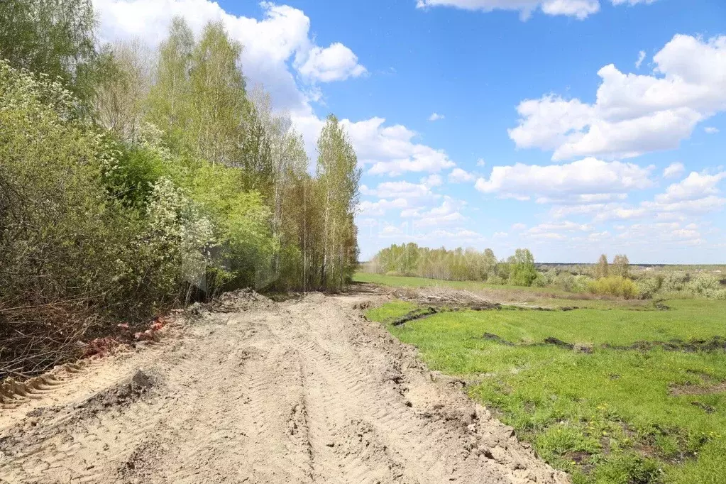Участок в Тюменская область, Тюменский район, д. Коняшина  (248.0 ... - Фото 1