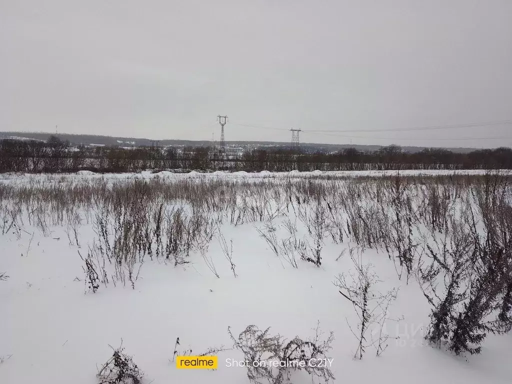 Участок в Московская область, Коломна городской округ, д. Тарбушево  ... - Фото 1