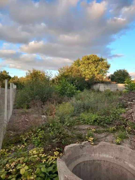 Участок в Крым, Симферопольский район, Чистенское с/пос, Родничок СПК ... - Фото 2