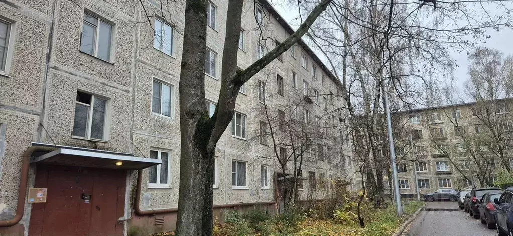 Комната Санкт-Петербург Стрельбищенская ул., 10 - Фото 1