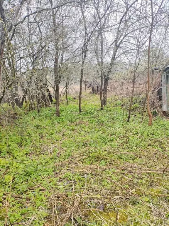 Дом в Тульская область, городской округ Алексин, деревня Мясоедово ... - Фото 2