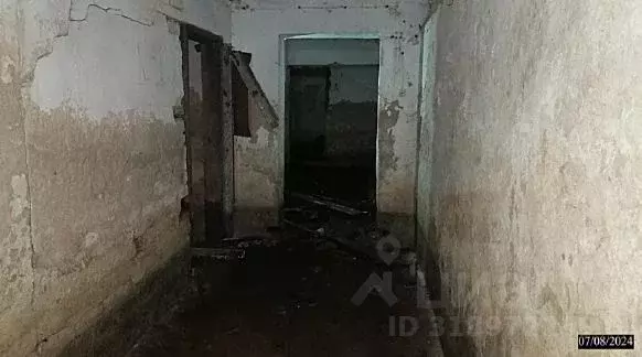 Помещение свободного назначения в Нижегородская область, Нижний ... - Фото 1
