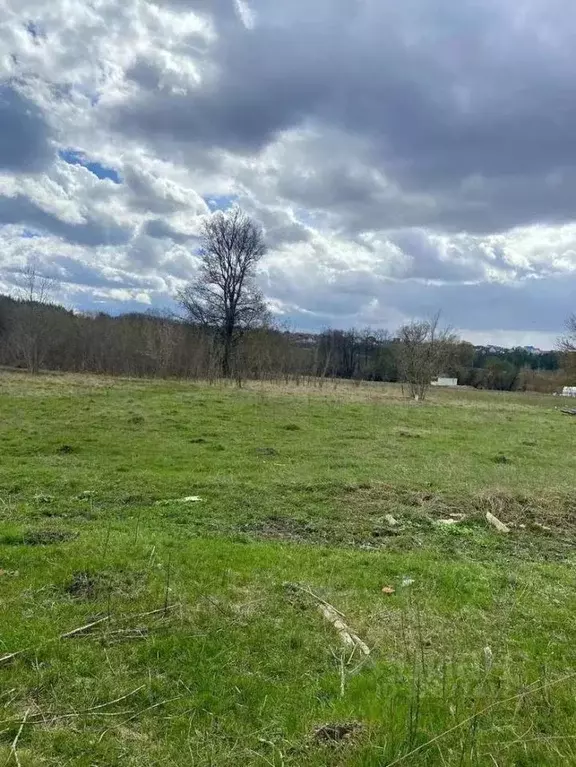 Участок в Белгородская область, Яковлевский муниципальный округ, с. ... - Фото 2