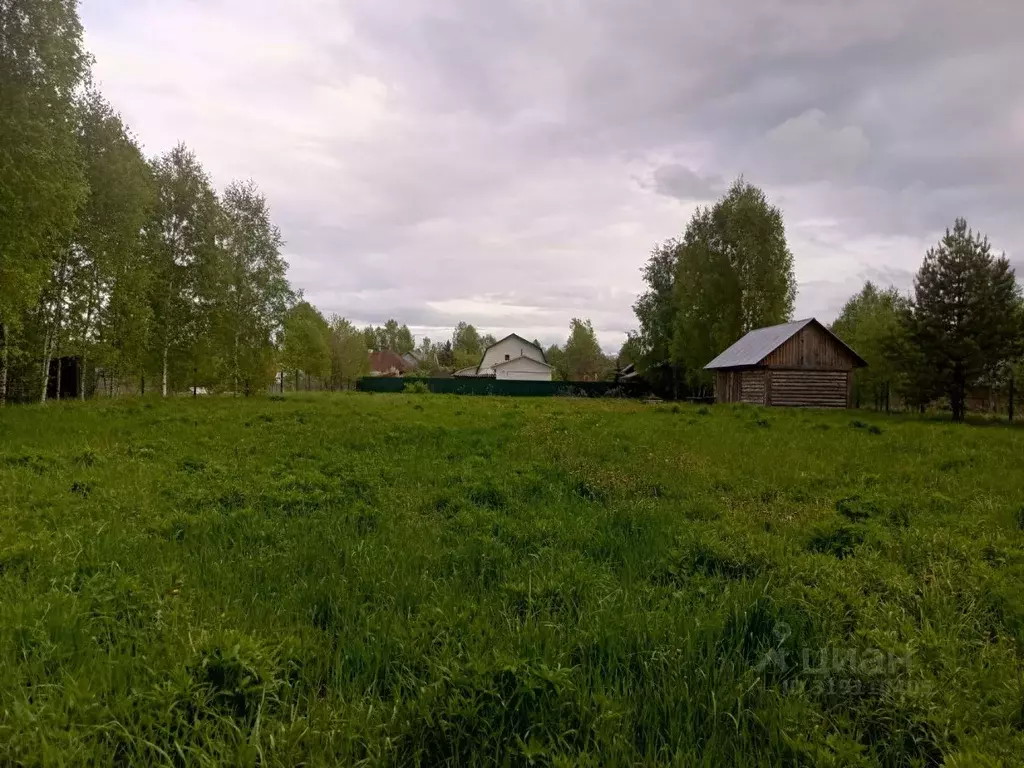 Участок в Нижегородская область, Бор муниципальный округ, с. Городищи  ... - Фото 1