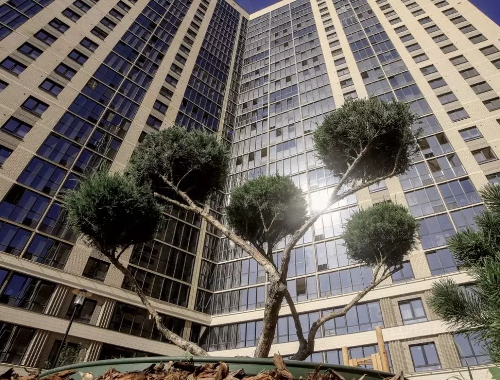 1-к кв. Новосибирская область, Новосибирск Ипподромская ул., 12 (38.0 ... - Фото 2