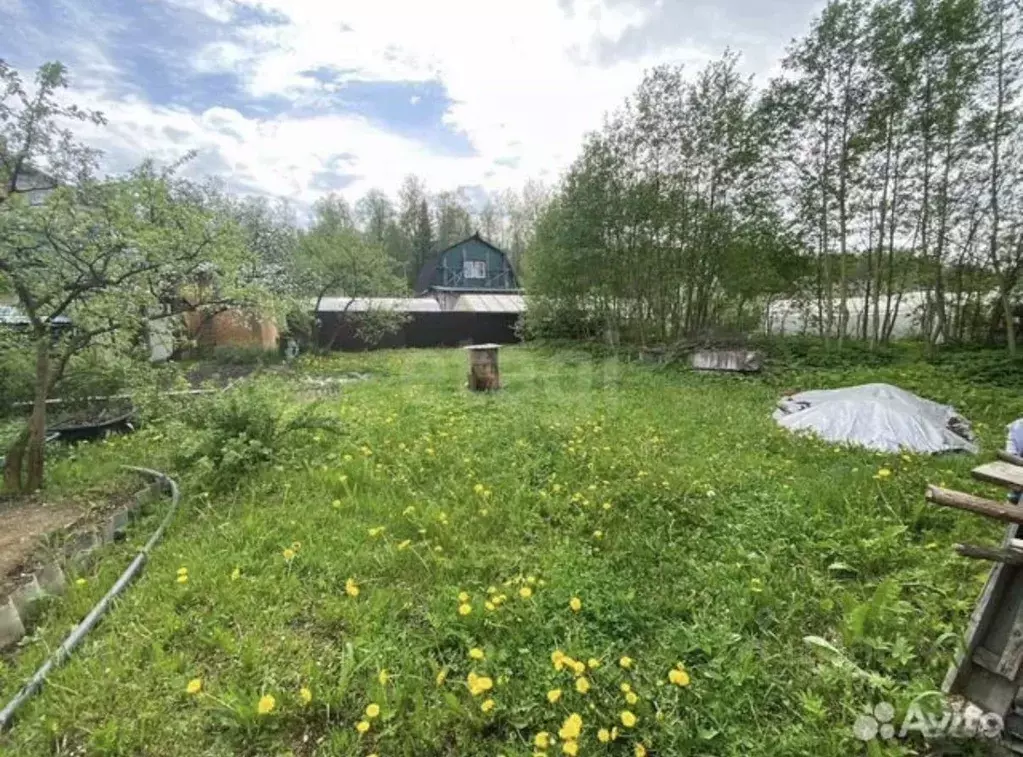 Участок в Ленинградская область, Кировский район, Синявинское ... - Фото 1